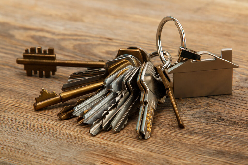 Keyring with multiple metal keys